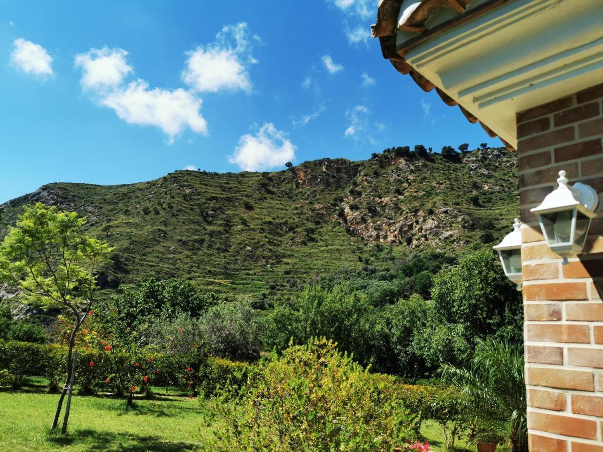 Villa Il Mandorlo à Amantea Extérieur photo