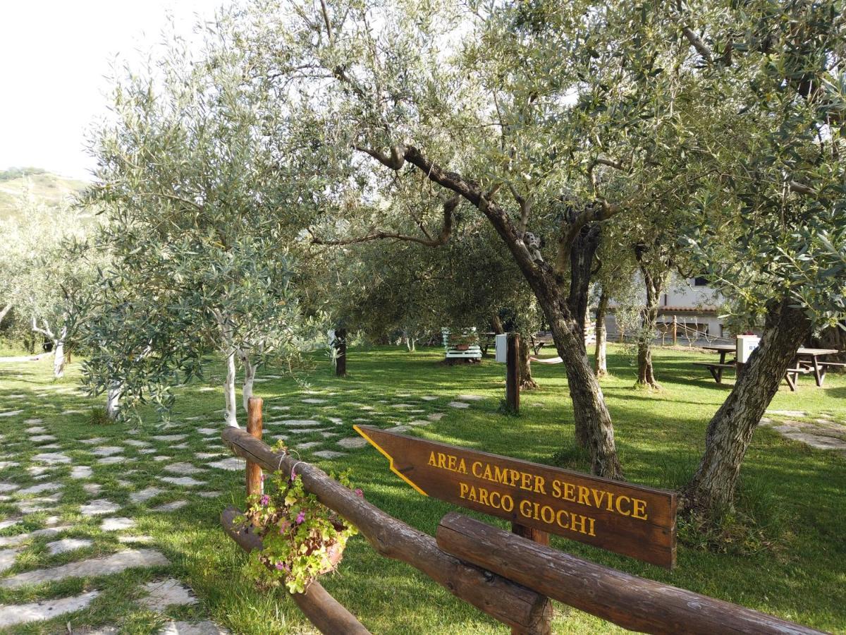 Villa Il Mandorlo à Amantea Extérieur photo