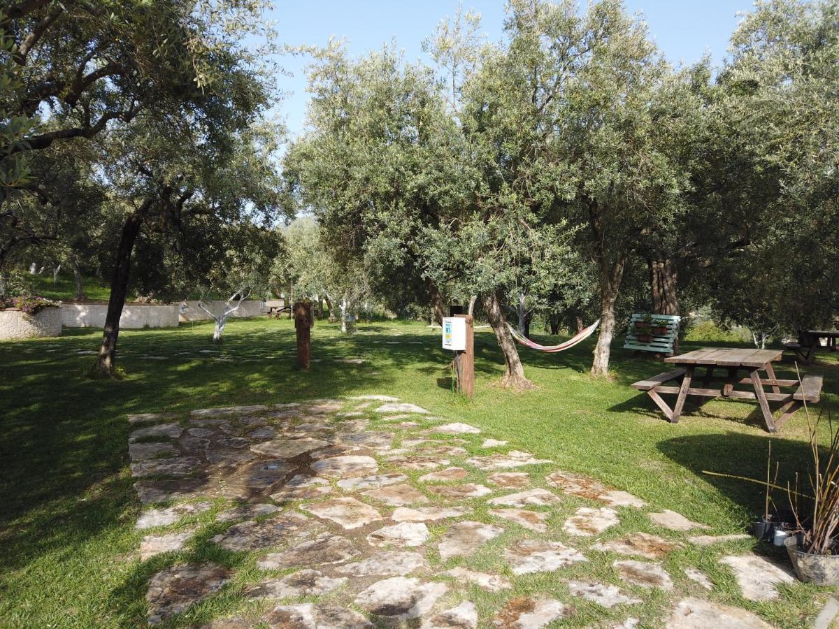 Villa Il Mandorlo à Amantea Extérieur photo