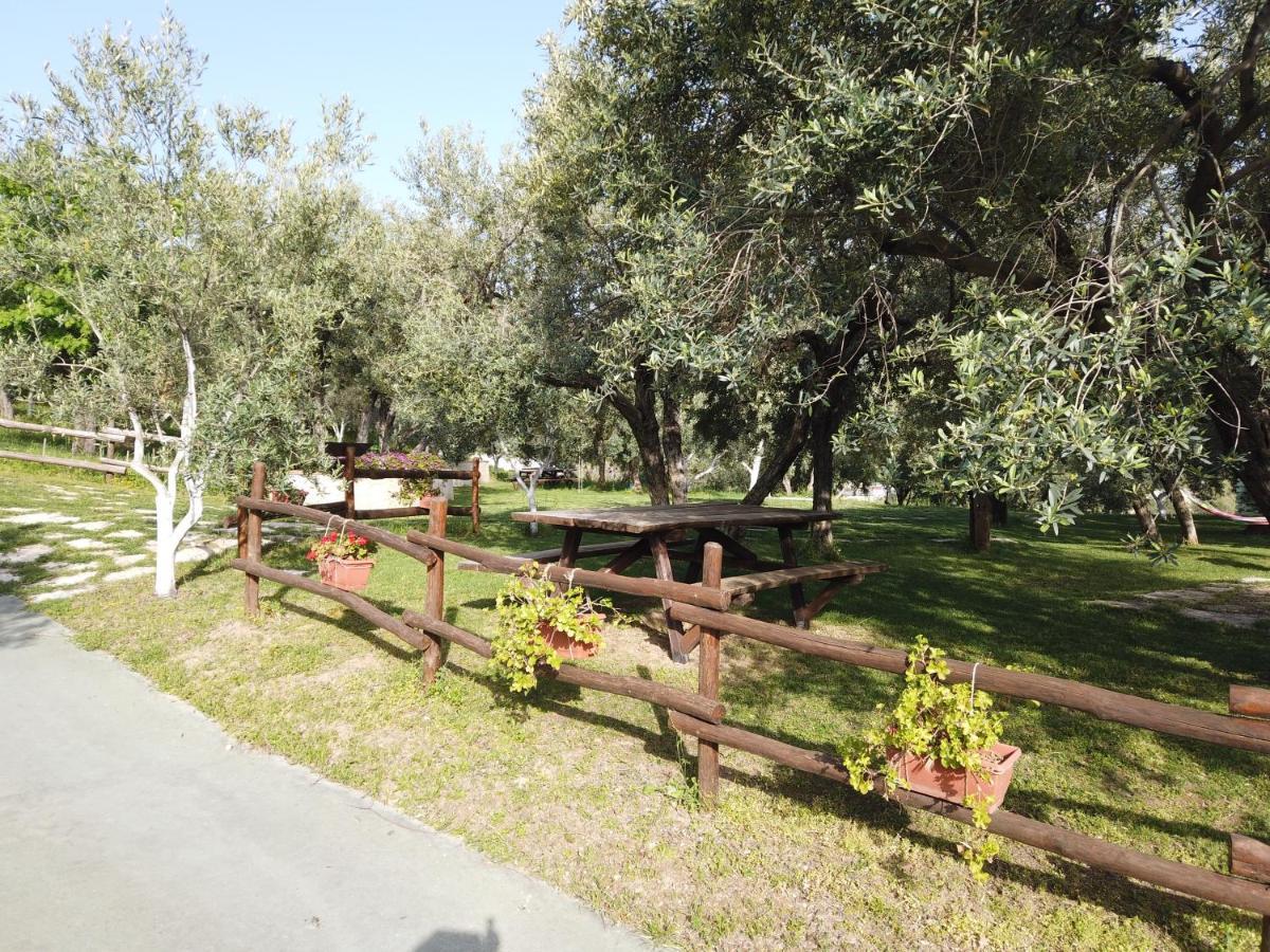 Villa Il Mandorlo à Amantea Extérieur photo