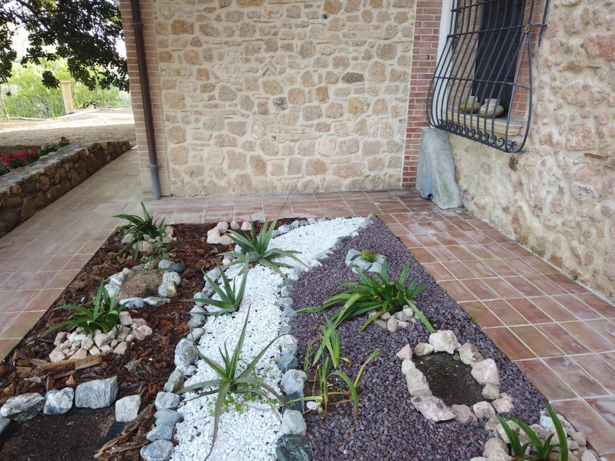 Villa Il Mandorlo à Amantea Extérieur photo