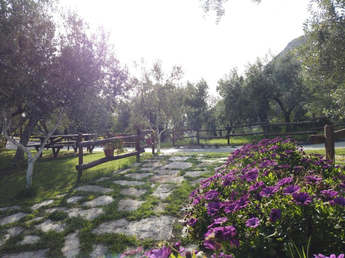 Villa Il Mandorlo à Amantea Extérieur photo