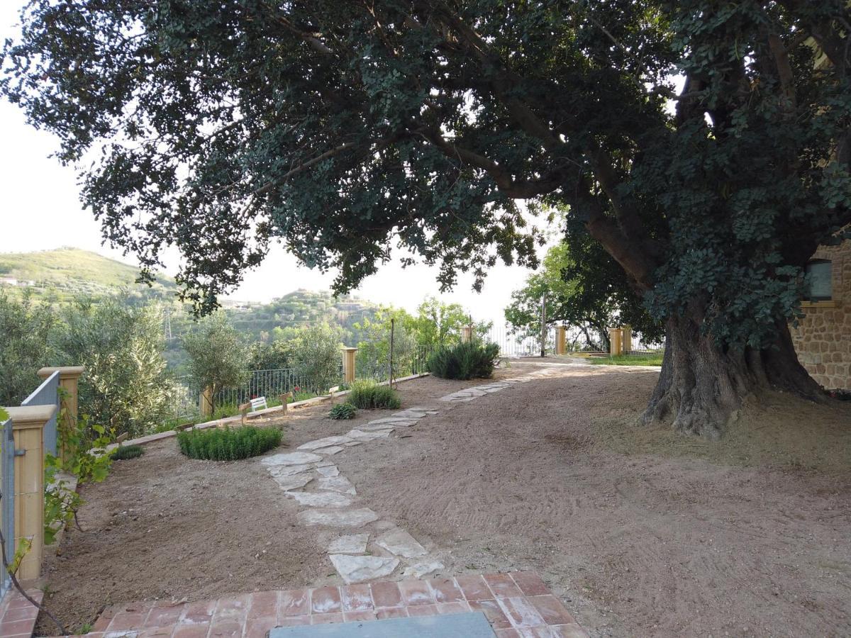Villa Il Mandorlo à Amantea Extérieur photo