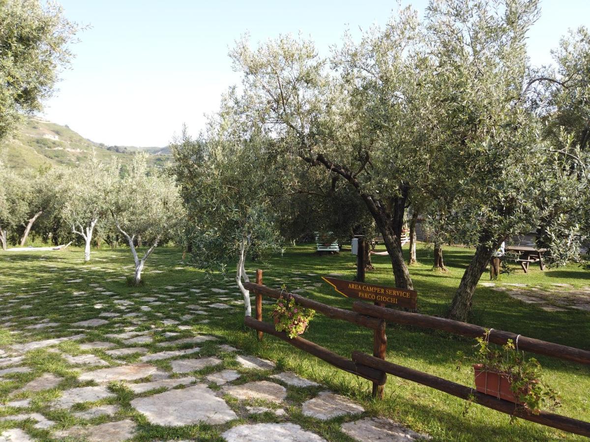 Villa Il Mandorlo à Amantea Extérieur photo