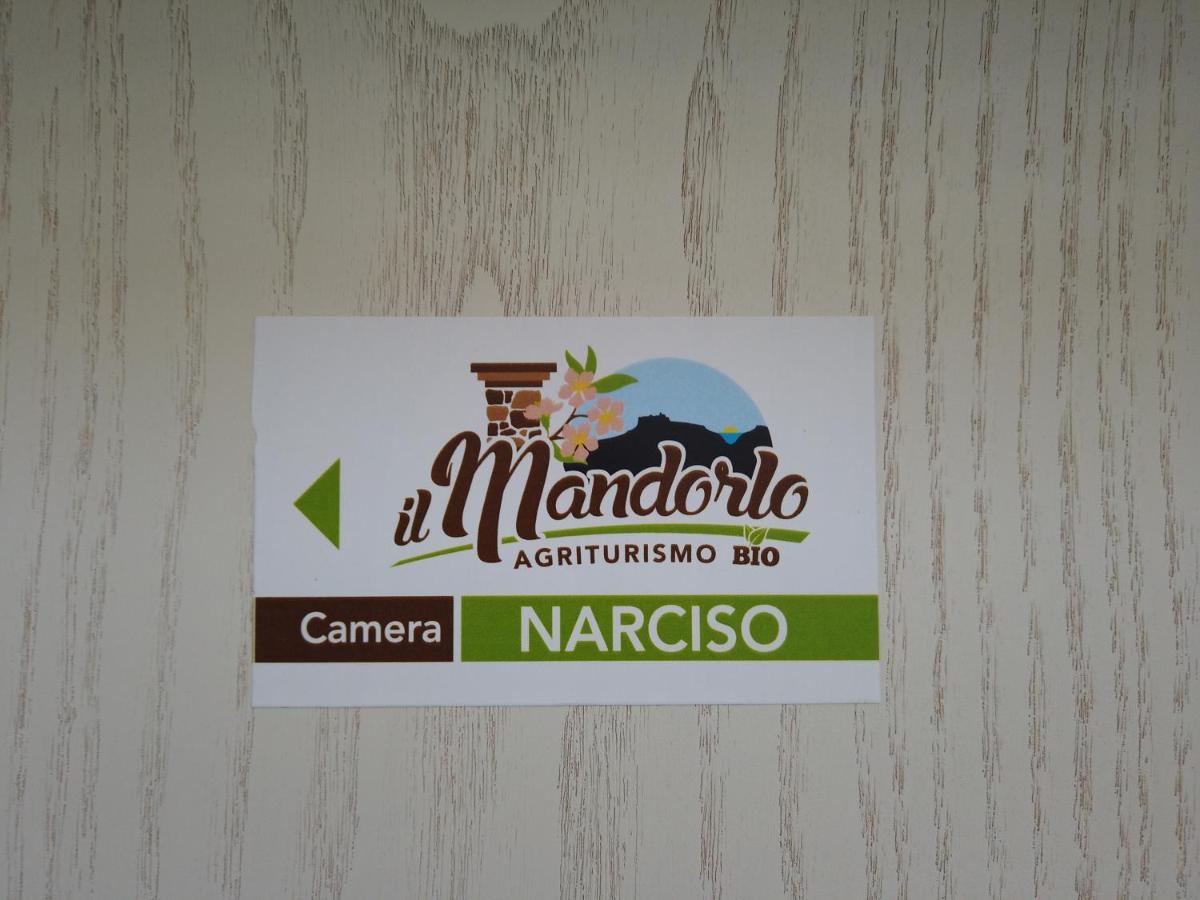 Villa Il Mandorlo à Amantea Extérieur photo