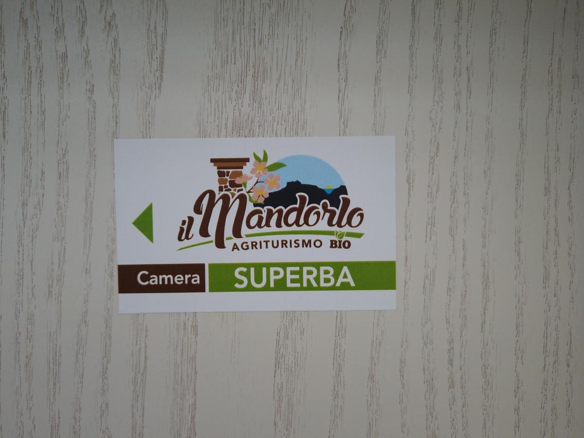 Villa Il Mandorlo à Amantea Extérieur photo